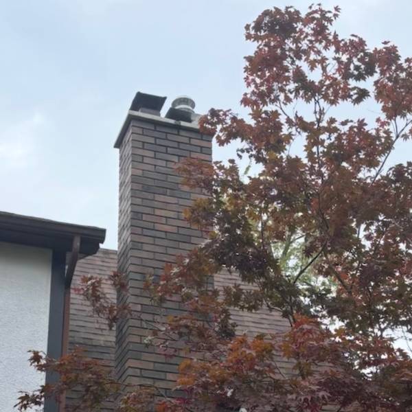 Chimney Repair (After)